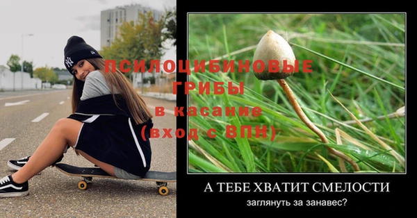 меф VHQ Богданович