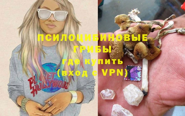 прущие крисы Богородицк