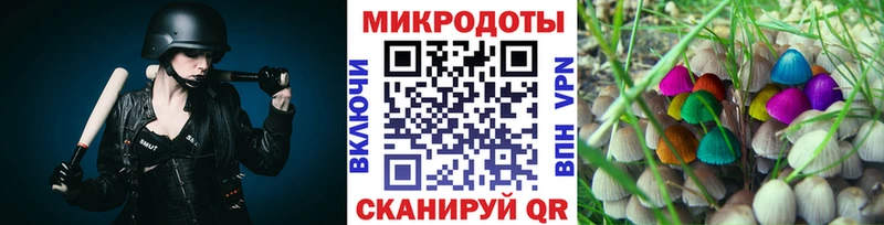 Псилоцибиновые грибы мухоморы  кракен ТОР  Могоча 