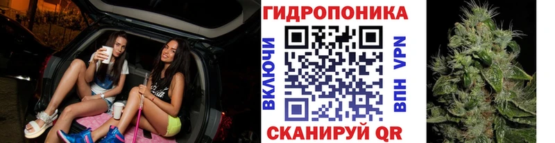 Бошки Шишки VHQ  Могоча 